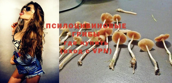 a pvp Козельск