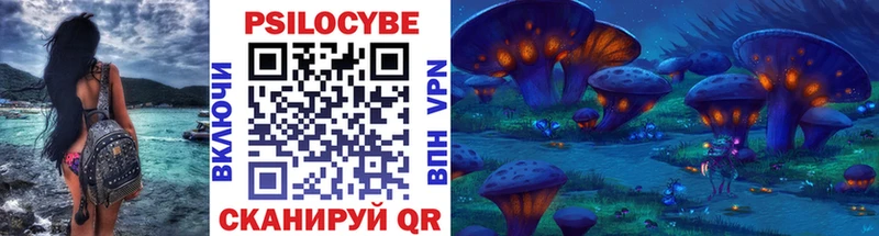 Галлюциногенные грибы Cubensis  Купить  Камышлов 