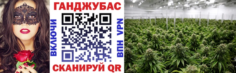Бошки марихуана LSD WEED  Купить закладки  Камышлов 